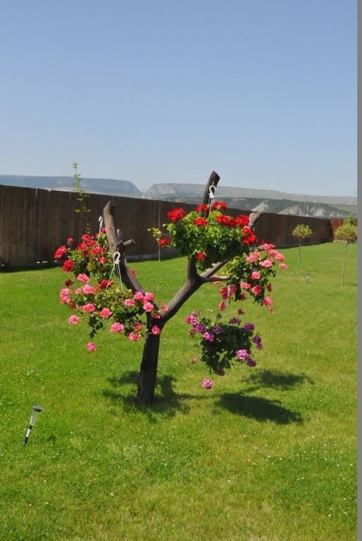 Pensiunea Pusca si Cureaua Lata Turda Exterior foto